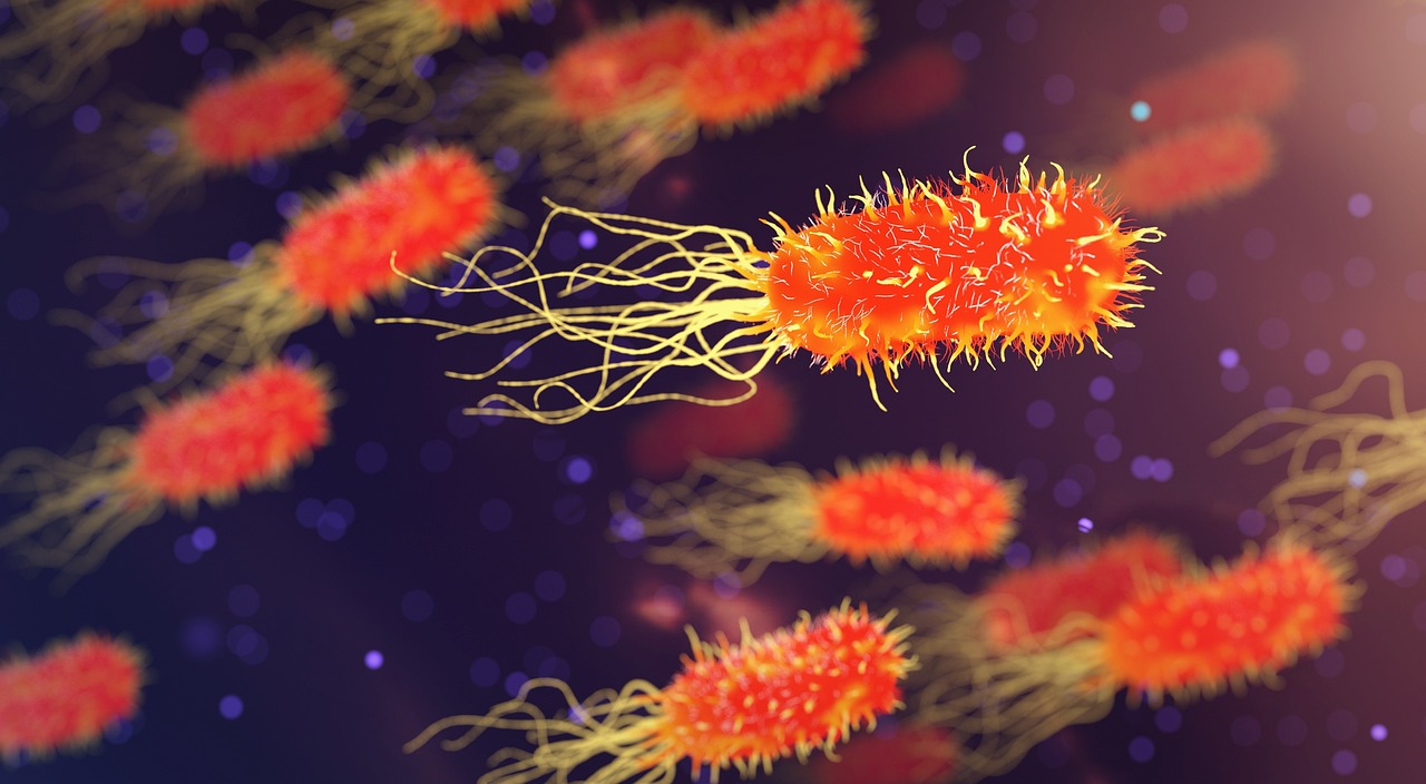Philosophy of Science in Genetics – An Overview
